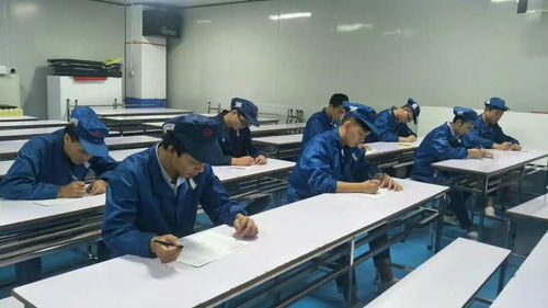 掌握職業(yè)技能，增值自我人生——第一工廠工程技術(shù)崗位評(píng)審認(rèn)證與信息技術(shù)咨詢服務(wù)解析